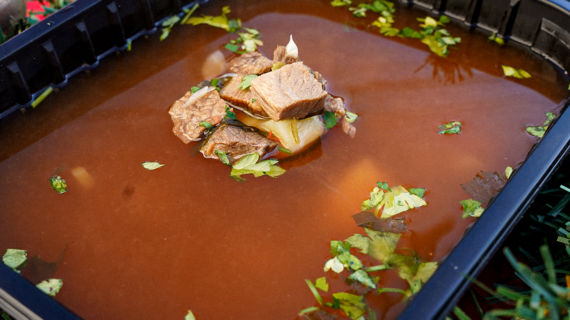 Ciorbă Văcuță 1.6 Kg